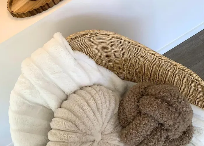 Maison Cosy En Centre-Ville, 8 Voyageurs Апартаменты Beaupreau-en-Mauges